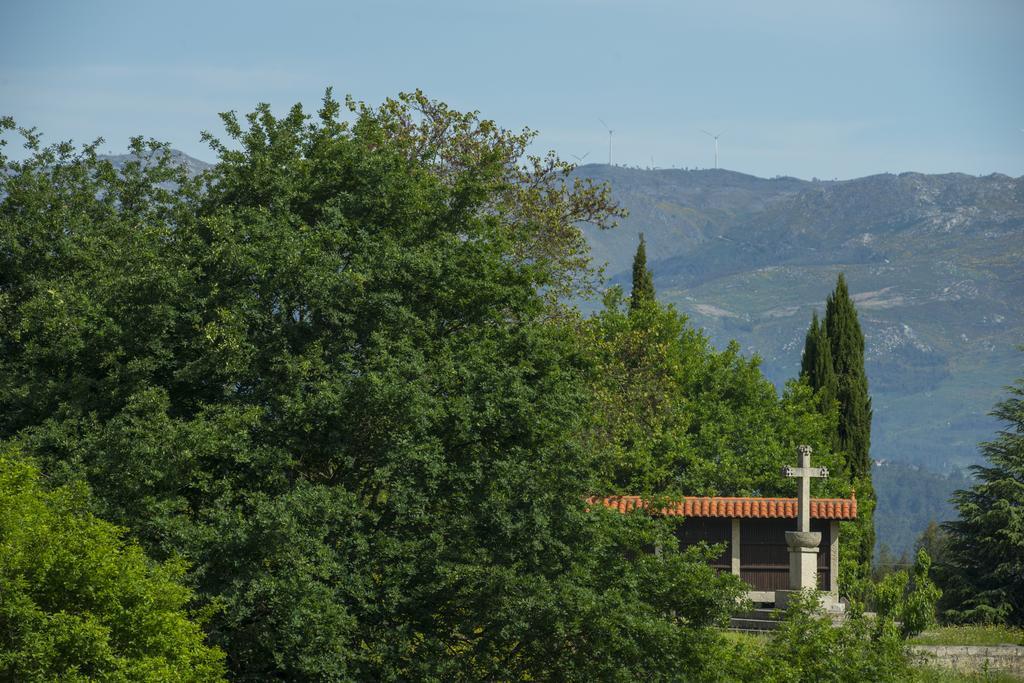 הוילה ווזלה Quinta Do Fontelo מראה חיצוני תמונה