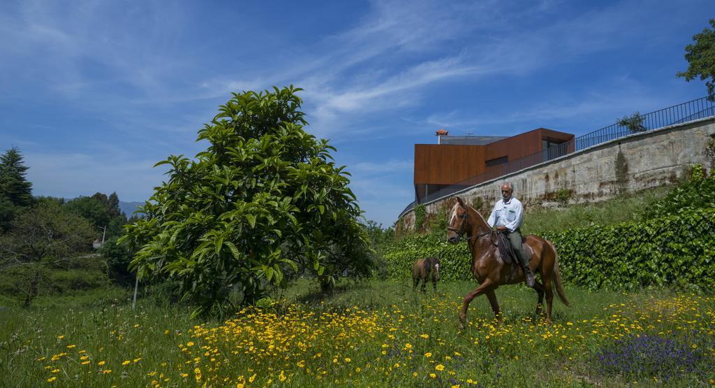 הוילה ווזלה Quinta Do Fontelo מראה חיצוני תמונה