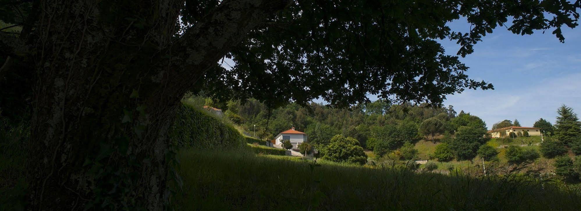 הוילה ווזלה Quinta Do Fontelo מראה חיצוני תמונה